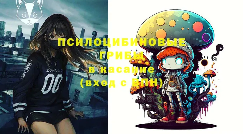 Псилоцибиновые грибы MAGIC MUSHROOMS  Мытищи 